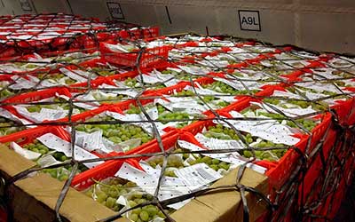 Международная перевозка продуктов питания